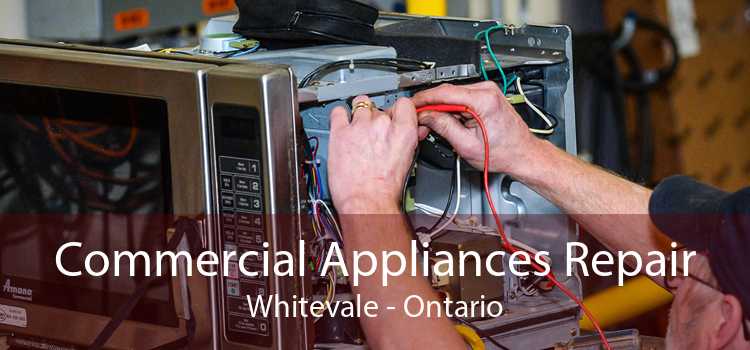 Commercial Appliances Repair Whitevale - Ontario