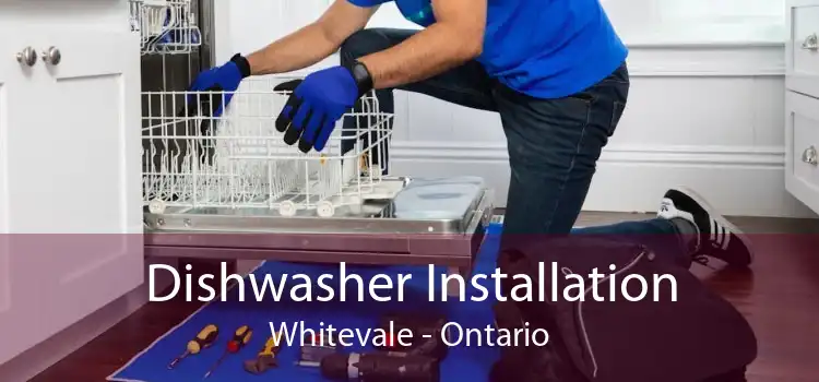 Dishwasher Installation Whitevale - Ontario