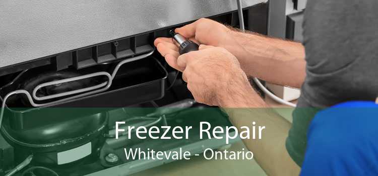 Freezer Repair Whitevale - Ontario