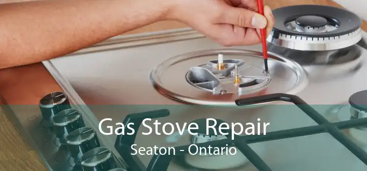Gas Stove Repair Seaton - Ontario
