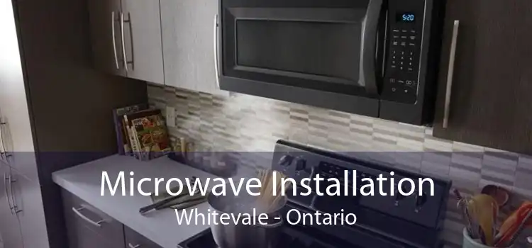 Microwave Installation Whitevale - Ontario