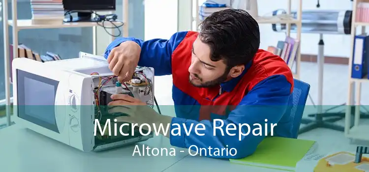 Microwave Repair Altona - Ontario
