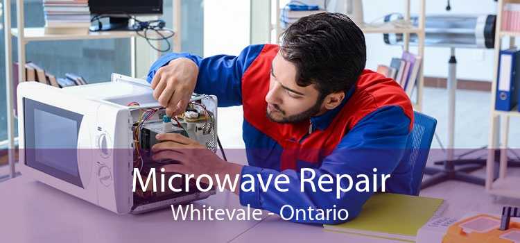Microwave Repair Whitevale - Ontario