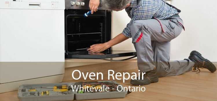Oven Repair Whitevale - Ontario