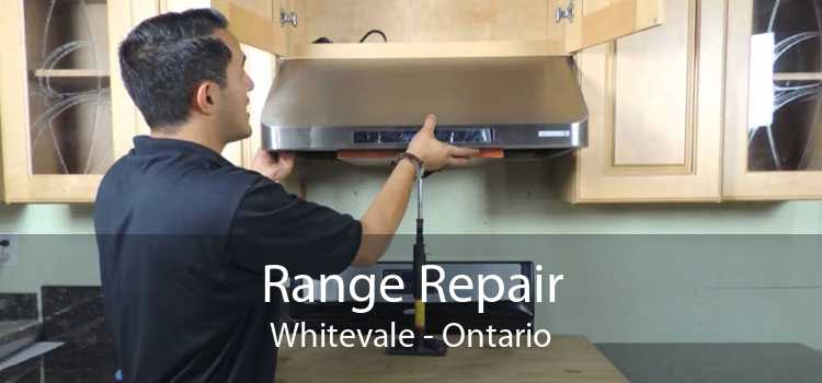 Range Repair Whitevale - Ontario