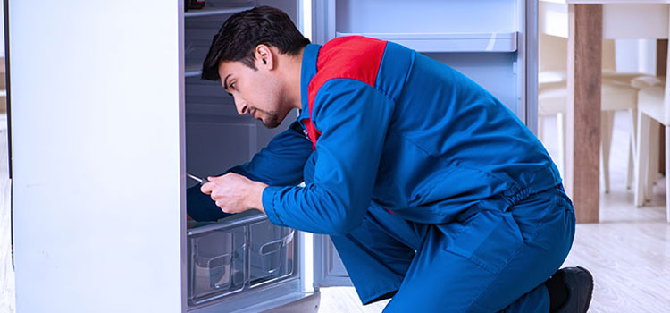 Freezer Repair Services in Kinsale